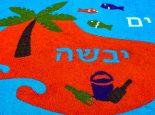 משטחי גומי מתקני משחק